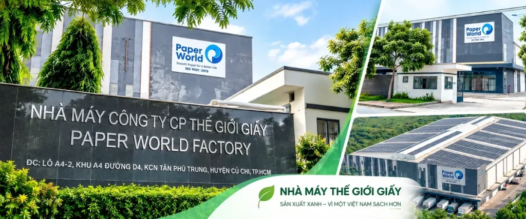 Nhà máy sản xuất giấy An Khang của Thế Giới Giấy